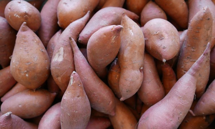 Γλυκοπατάτα vs κοινή πατάτα: Ποια είναι τα θρεπτικά οφέλη τους;