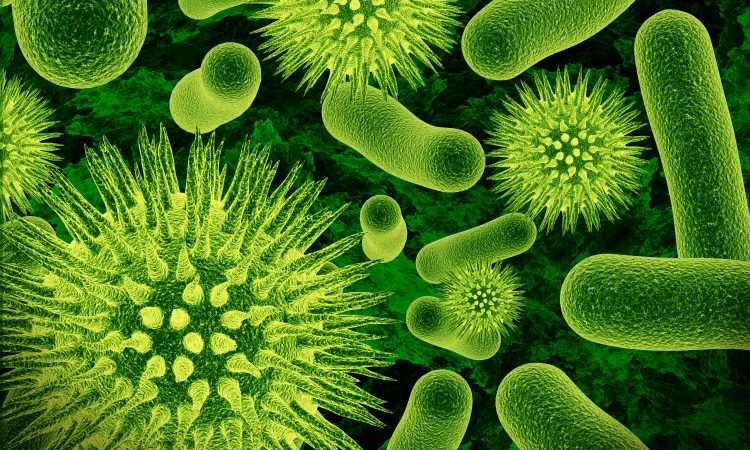 Το ανθρώπινο μικροβίωμα και η σημασία του στην υγεία και τη νόσο
